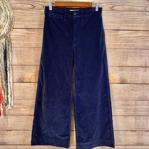 blue velvet wide leg pants